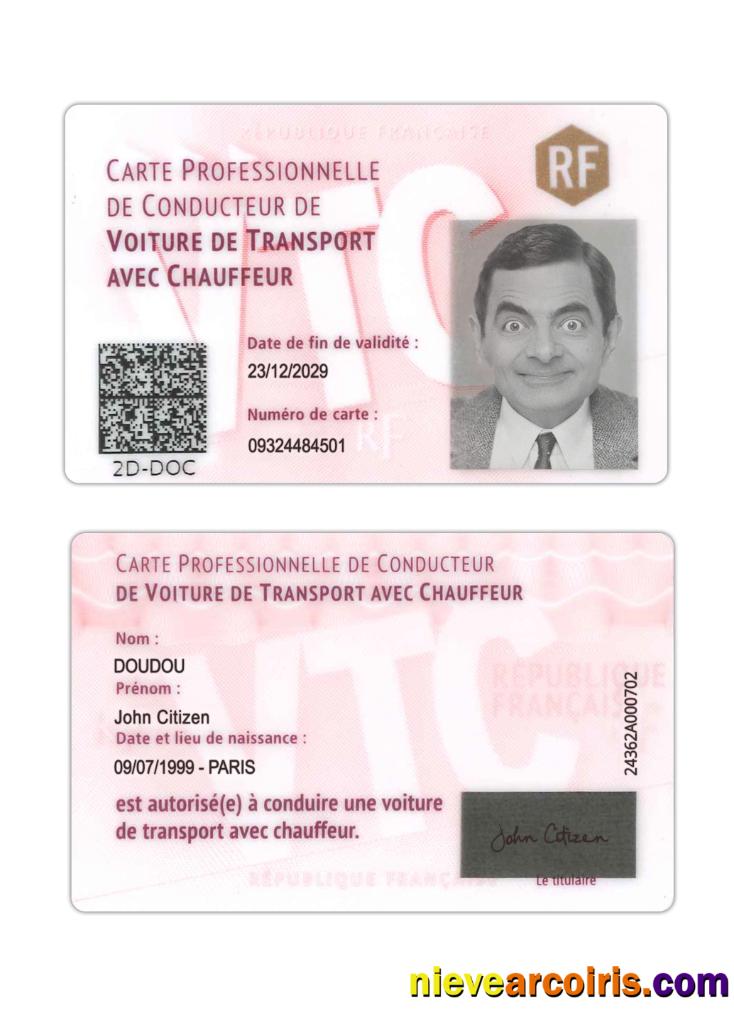 France professional driver's card